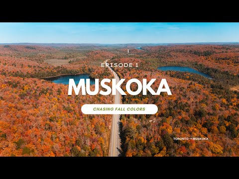 Chasing the Colors of Autumn | Muskoka Fall Road Trip from Toronto - Part 1