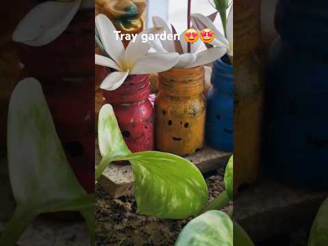 The Most Impressive DIY Miniature Gardens#shorts#shortsfeed #diygarden#youtube#diy#artform#trending