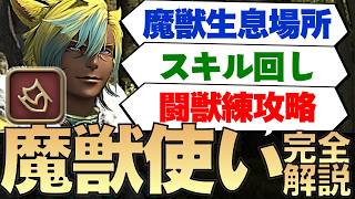 【FF14】魔獣使い 世界一わかりやすい解説【魔獣50種捕獲場所/システム＆スキル回し/闘獣練第一盤～第三盤ギミック解説】
