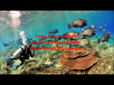 Lagu By Clare Petrus Edwin-Kaandaman Piginavaan