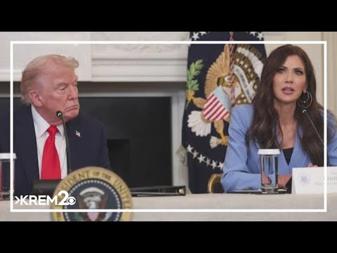 FEMA Council proposes downsizing agency