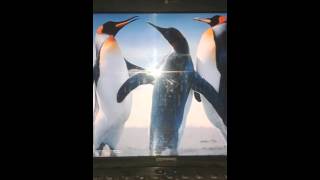 Download lagu Mars DOKTER KECIL IDI 2015 mp3 Download lagu Mars DOKTER KECIL IDI 2015 mp3