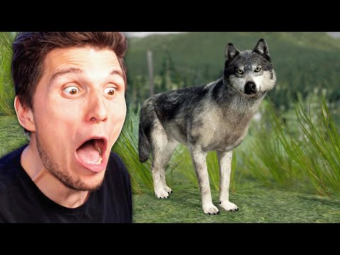 Der WOLF Simulator 2024