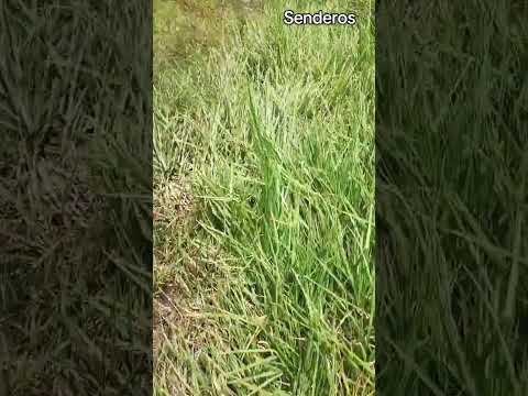Sienta La Naturaleza en Suesca Cundinamarca