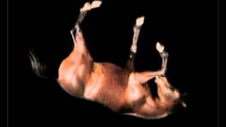 When Saints Go Machine - Armed