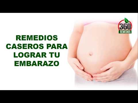 download lagu mp3 mp4 Remedios Caseros Para Quedar Embarazada Rapido, download lagu Remedios Caseros Para Quedar Embarazada Rapido gratis, unduh video klip Remedios Caseros Para Quedar Embarazada Rapido