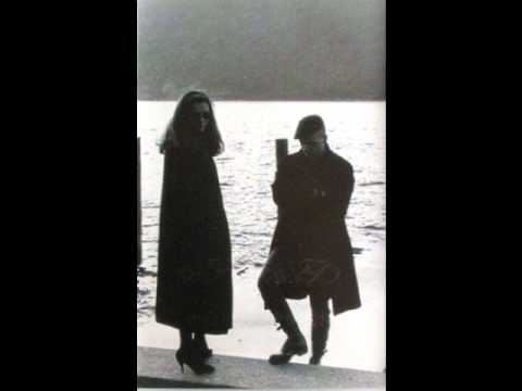 Black Rose - Evergreen Leaves