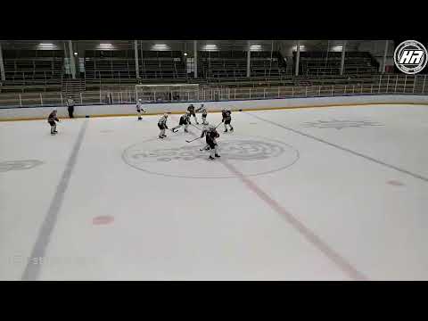 HyRi White - Jää-Tiikerit Green