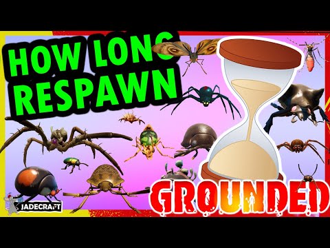 GROUNDED PRO GUIDE: How Long Do The Most Important Bugs Take To Respawn! What You Need To Know