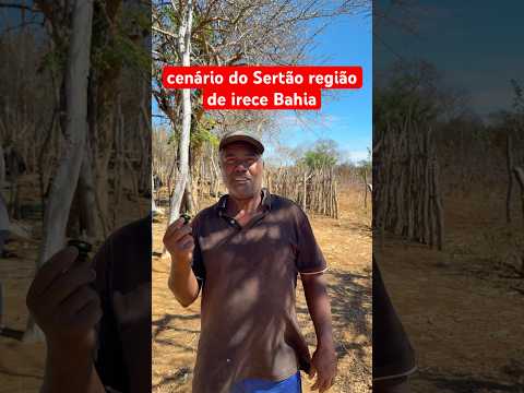 cenário do Sertão região de irece Bahia #bahia #nordeste ￼