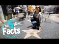 Top 5 Fun Facts About The Hollywood Walk Of Fame