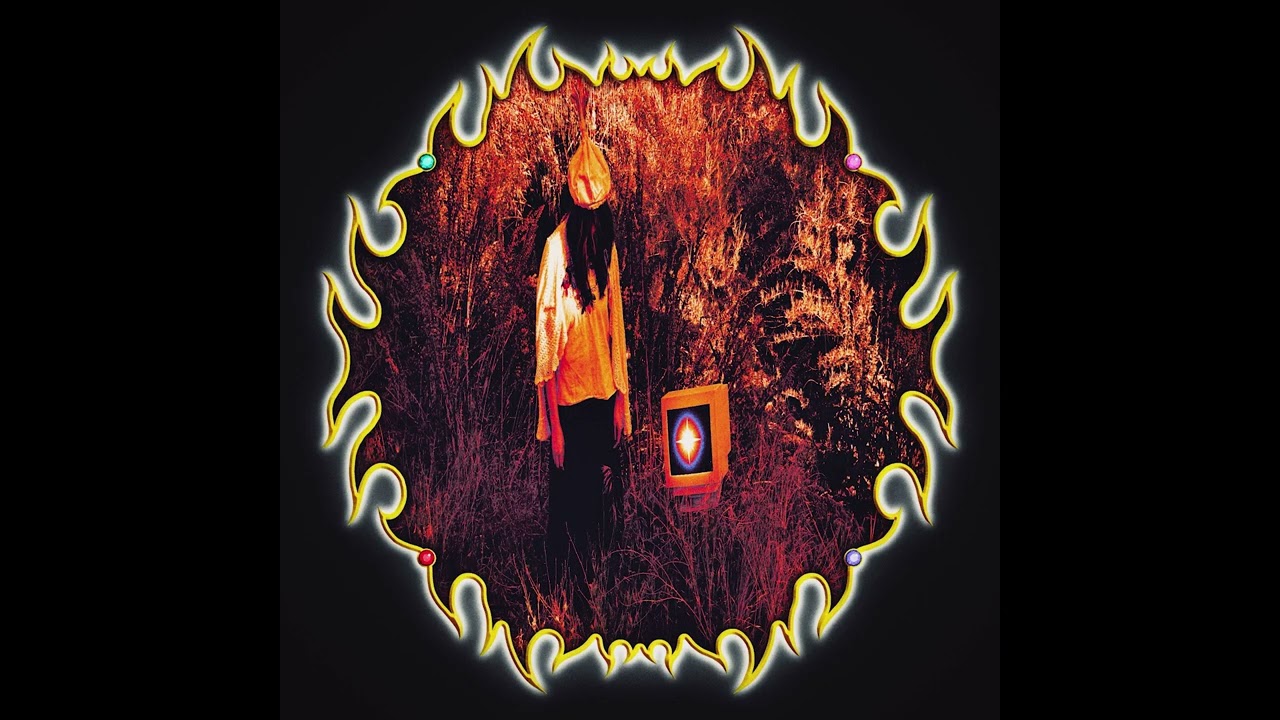 dilute_calico98 - eyes of the well