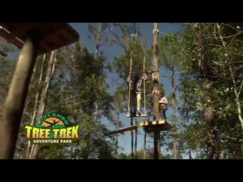Orlando Tree Trek Adventure Park