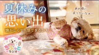 【夏休み】あの頃の思い出を話したら、懐かしすぎてセンチメンタルな気分になった雑談