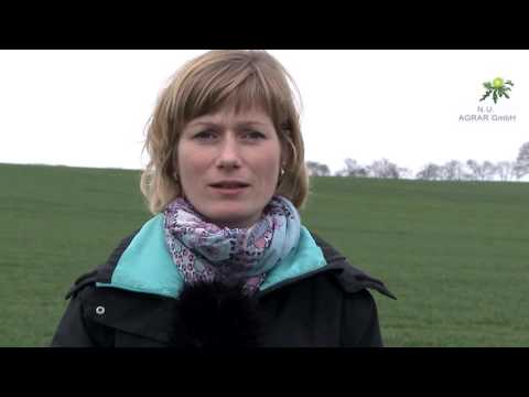 31. Feldexkursion: Schädlinge im Raps aufspüren - NU Agrar, 23.03.2016 (rape)