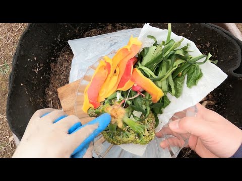 Food, bedding & grit for 244-day outdoor worm bin - vermicomposting