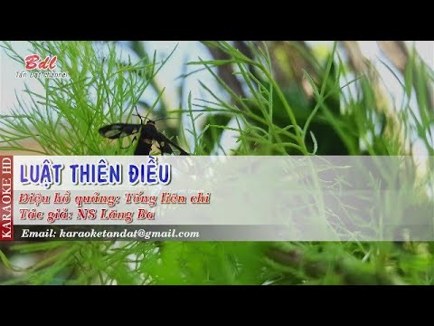 Karaoke Điệu hồ quảng || Tống liên chi | Luật thiên điều - Ân từ độ thế | Nhạc Phật hay nhất