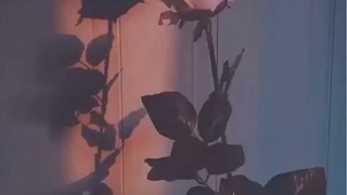 て
