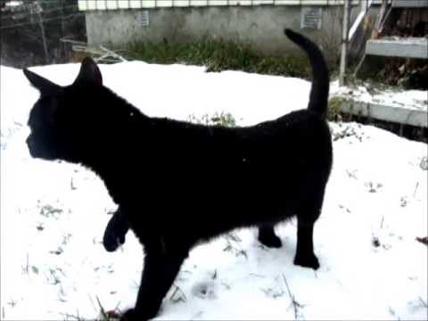 Minstens møte med snøen