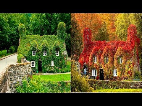 Increíbles trasformaciones de paisajes de otoño a invierno