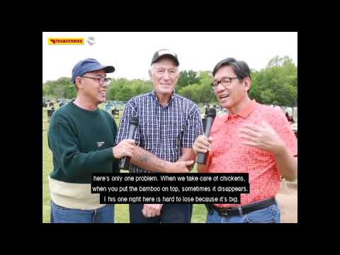 James Mairel American Breeder