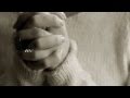 With Hope - Steven Curtis Chapman