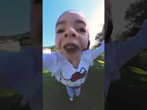 una pulga aventurera