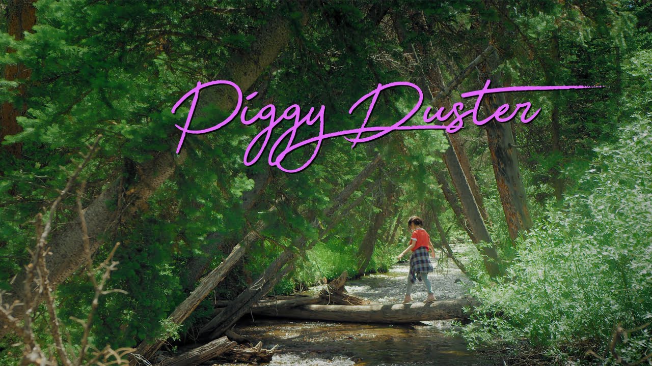 piggy duster