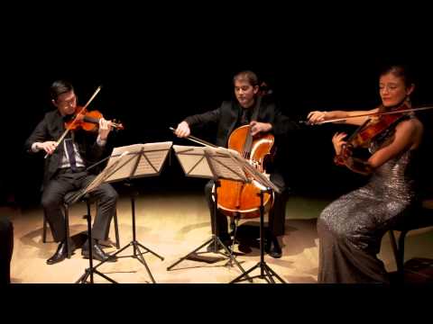 Barber: Adagio for Strings, Original Version, Dover Quartet