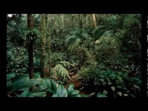 Moraes Moreira - Grande Final