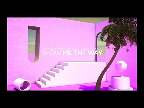 Vintage Culture, Shapeless, Padox, FM Laeti - Show Me The Way