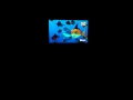 The Reef La Copia Di Nemo
