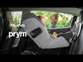 GL | Nuna PRYM: Buckle up & ride on | Convertible Car Seat | Features