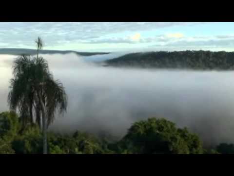 Campaña NO a Garabí