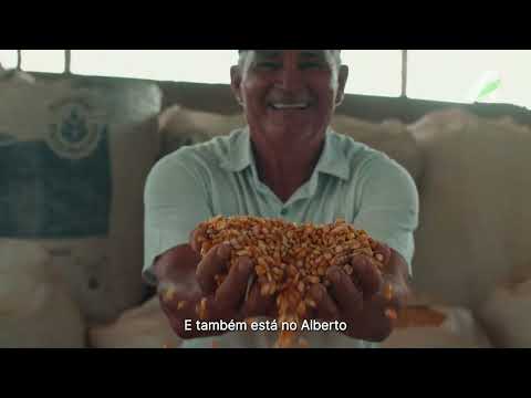 A Vida da Amazônia | Banco da Amazônia na COP 30