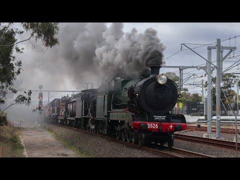 「4K60fps」THNSW Locos 3526, 3265, 4501, 4916 & 4490 passing Glenfield - SHL Southern Highlands Line