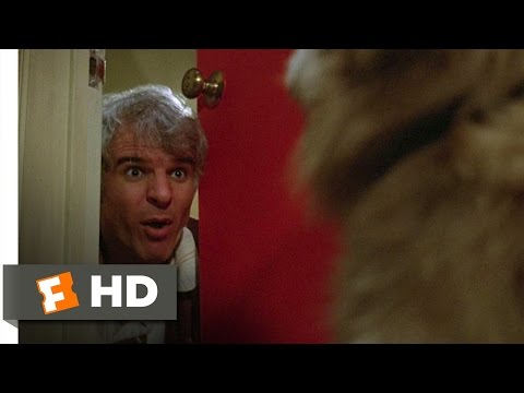 ザ・ジャーク (3/10) Movie CLIP - Don't Call That Dog Lifesaver (1979) HD (The Jerk (3/10) Movie CLIP - Don't Call That Dog Lifesaver (1979) HD)