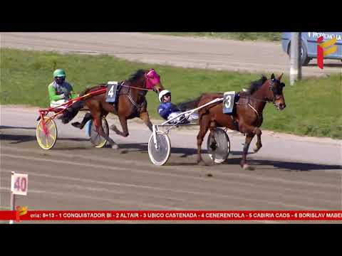 IV Corsa del 12 aprile 2023 - 5 Anni ed oltre - Metri 1600