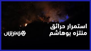 استمرار حرائق منتزه بوهاشم.. النيران تلتهم الأشجار والمنازل في مدشر تازورت بمنطقة مولاي عبد السلام thumbnail
