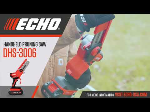 Echo DHS-3006X1 in Gaylord, Michigan - Video 1