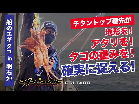 【船タコ】チタン穂先ロッドの超絶感度！明石タコのパニオニア自ら実釣解説！【alfasonic EGI TACO】