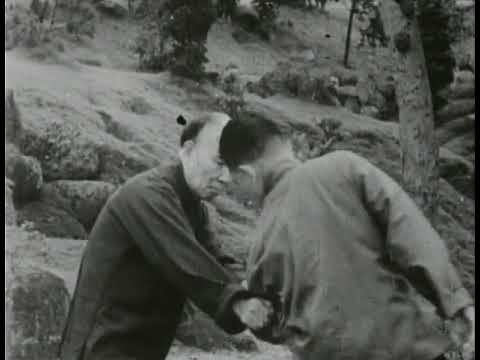 Chinese boxing by Liang Tung-Tsai