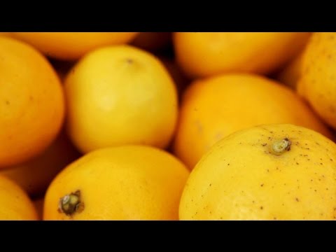 Making the most out of your Meyer lemons