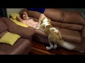 Anjing Sange Girls Hot
