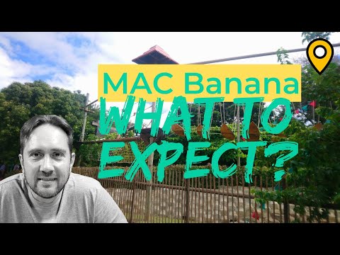 Mac Banana I Port Edward I What to Expect...🍌#thingstodo #travel