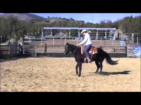 Matt Sheridan Performance Horsemanship - 5 Steps for Better Body Control - Under Saddle