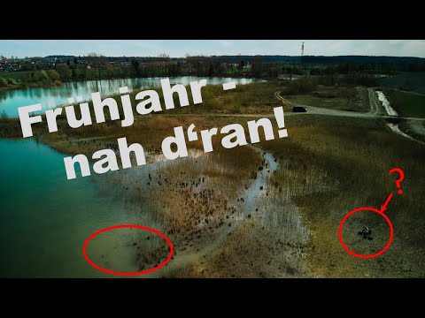 Karpfenangeln im Frühjahr - Direkt IM Fisch