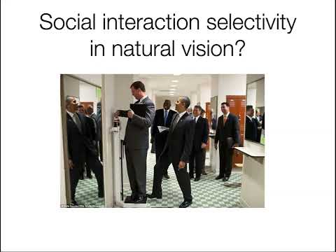 Innovators in Cog Neuro - Leyla Isik (Johns Hopkins