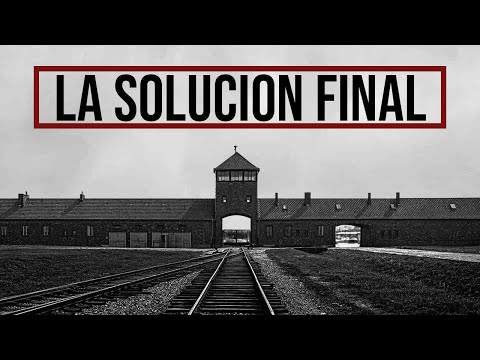 "The Final Solution" | The True Story of How the Nazis Engineered the Holocaust