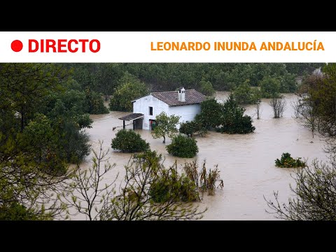 DIRECTO | BORRASCA LEONARDO | ÚLTIMA HORA SOBRE LAS INUNDACIONES EN ANDALUCÍA